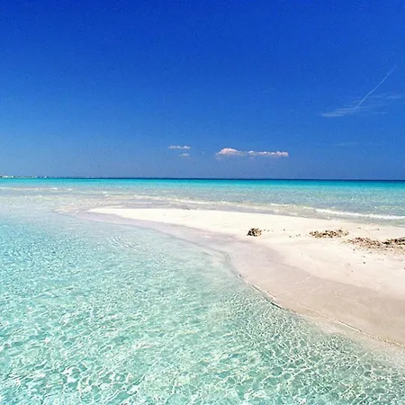 Casa Dino Con Accesso Diretto Di *